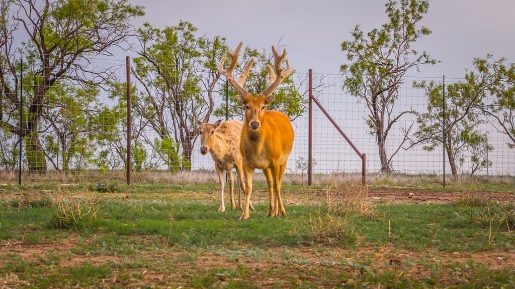 21 acres in Scurry County - photo 48