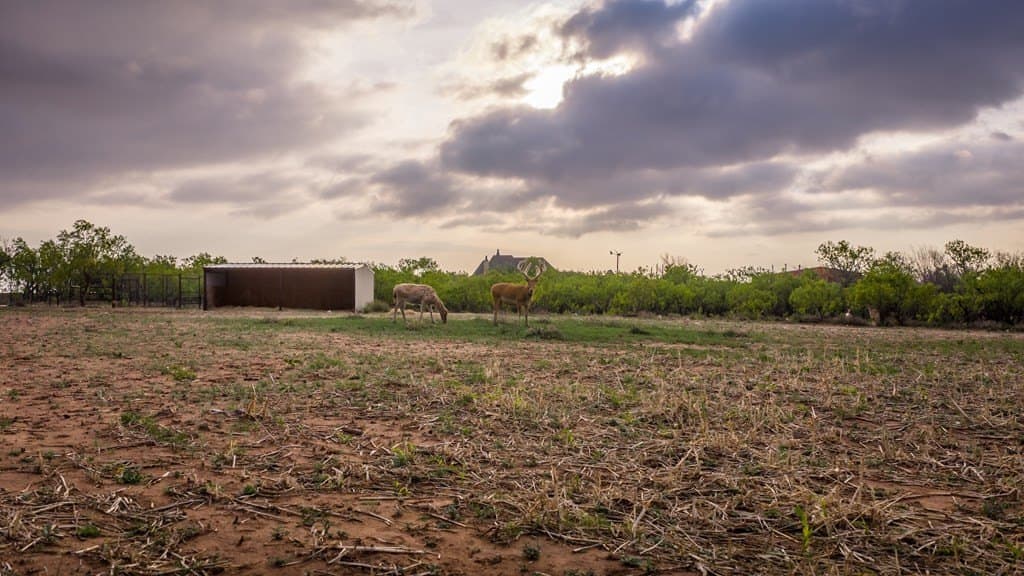 21 acres in Scurry County - photo 50