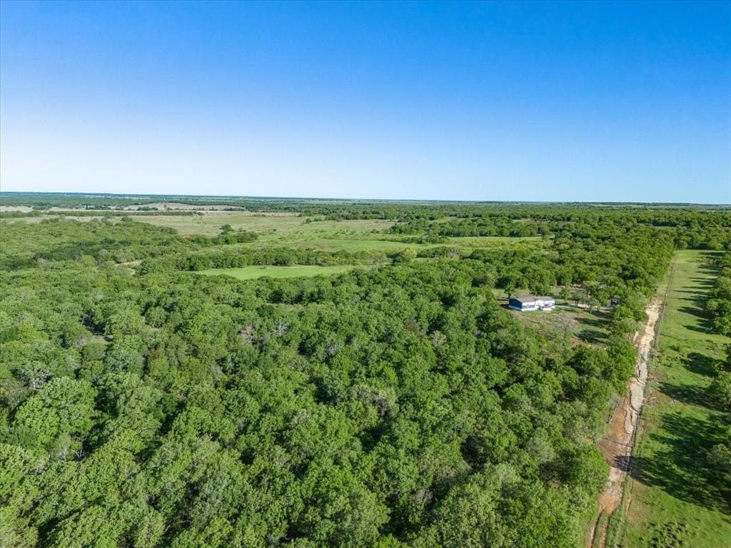 29.5 acres in Clay County gallery image 4