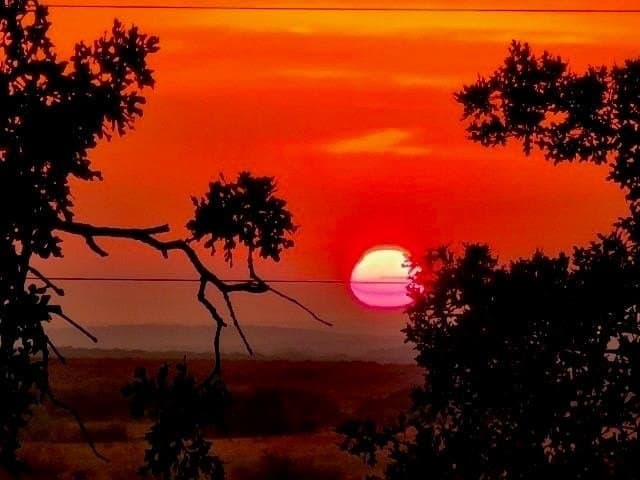 29.5 acres in Clay County