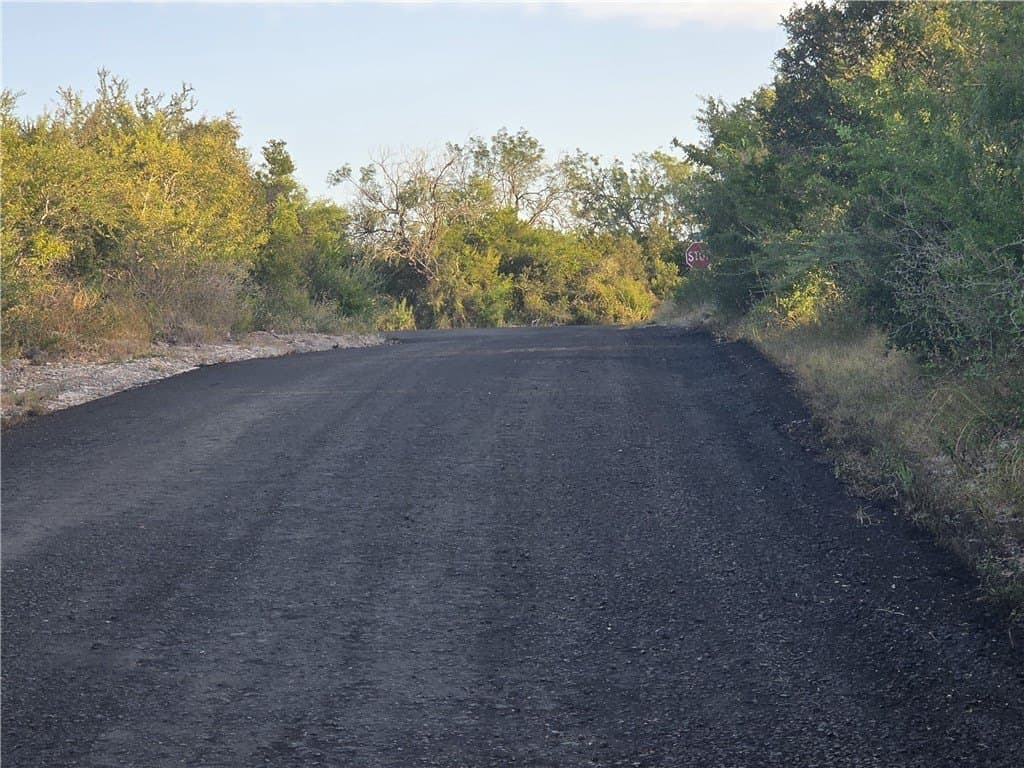 43,560 acres in Live Oak County - photo 10