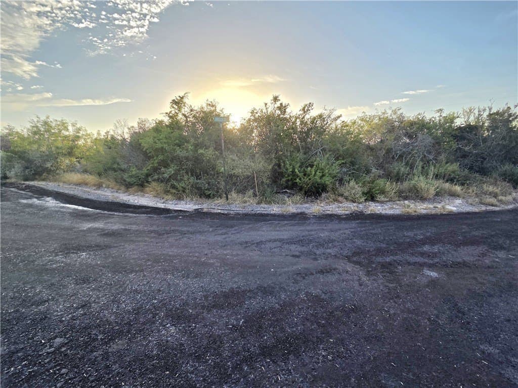 43,560 acres in Live Oak County - photo 9