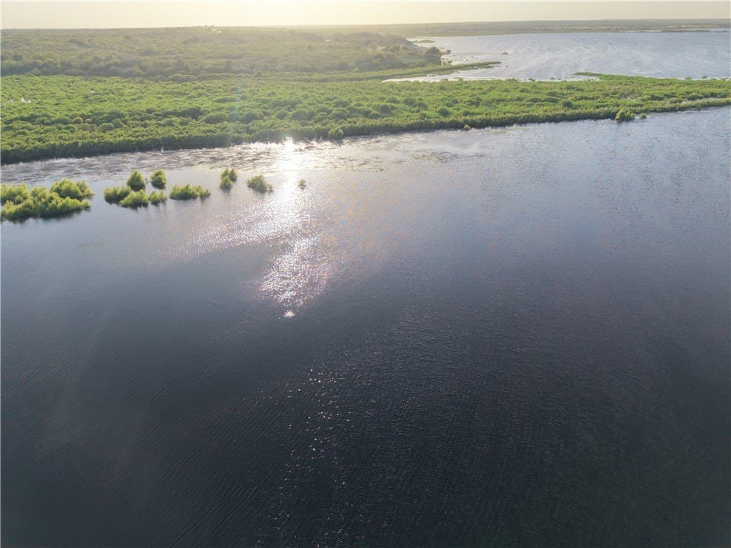 43,560 acres in Live Oak County - photo 51