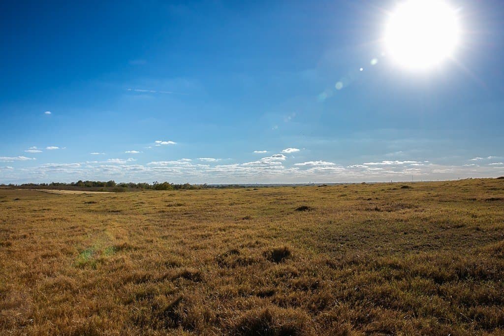 42.05 acres in Washington County gallery image 3