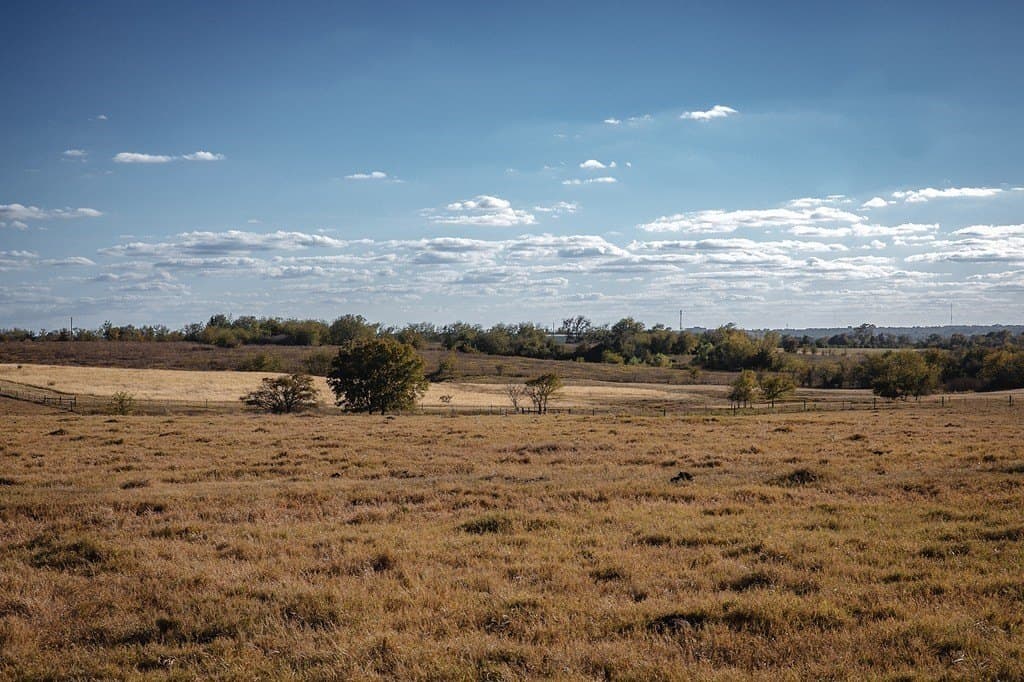 42.05 acres in Washington County gallery image 2