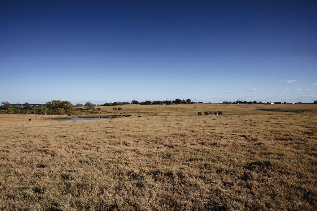 42.05 acres in Washington County gallery image 4