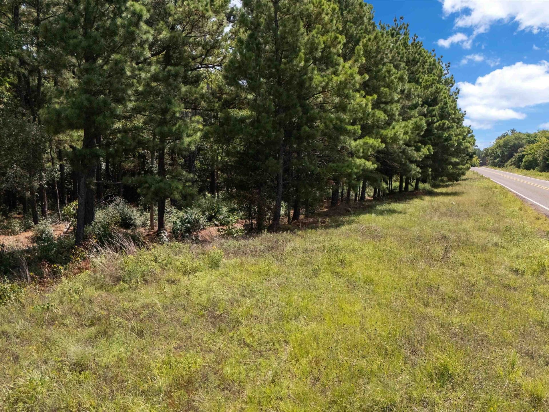 5.5 acres in Upshur County - photo 13
