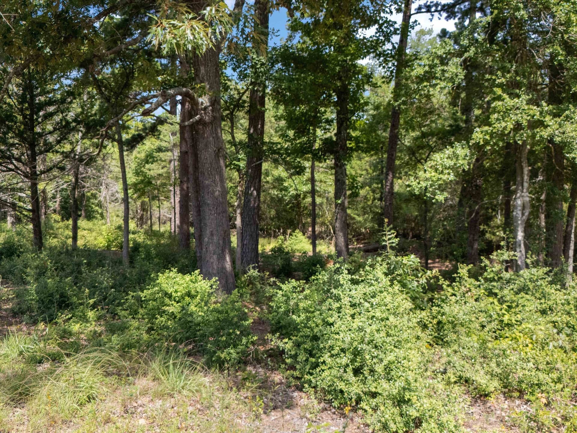 5.5 acres in Upshur County - photo 10