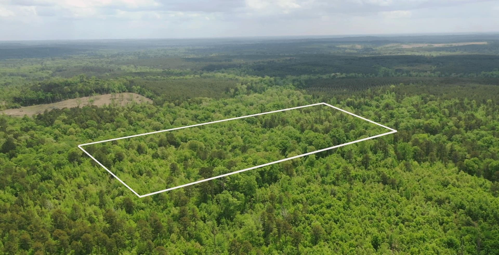 10.33 acres in Texas County gallery image 3