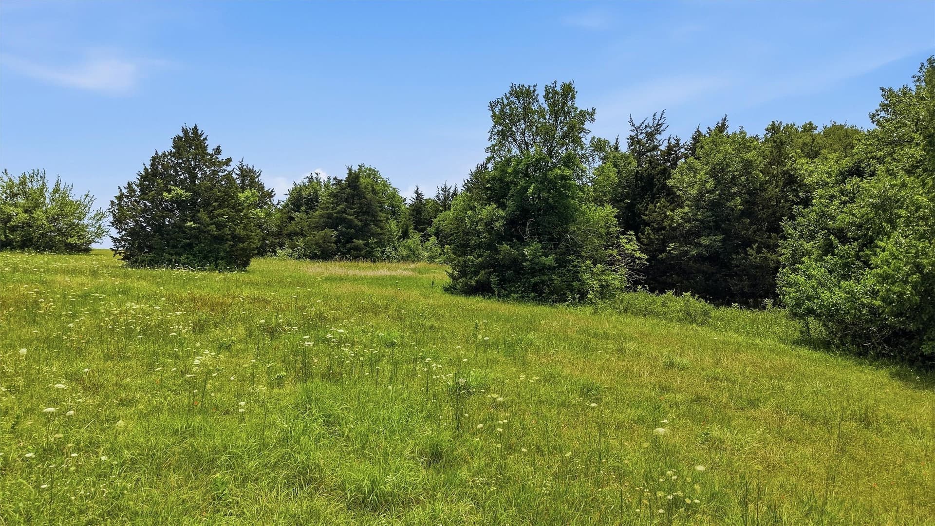 3.27 acres in Grayson County - photo 17