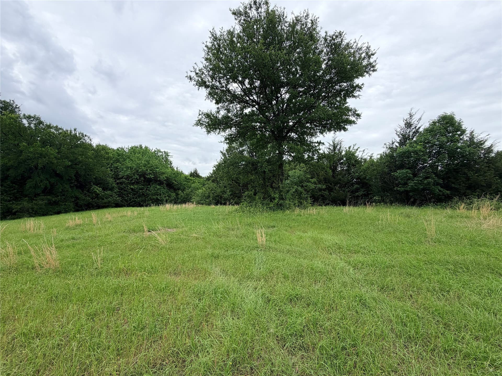 3.27 acres in Grayson County - photo 25