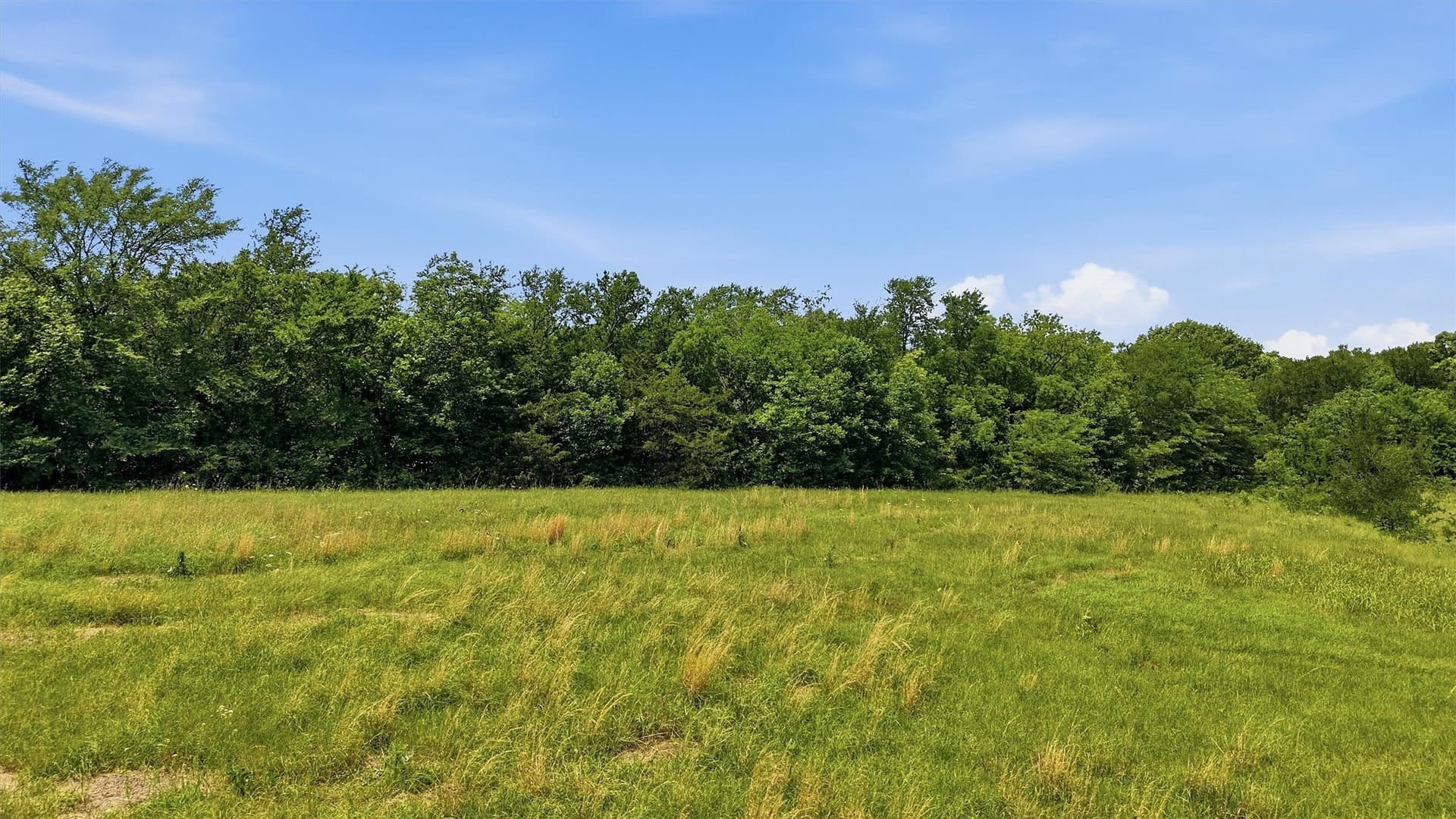 3.27 acres in Grayson County - photo 16