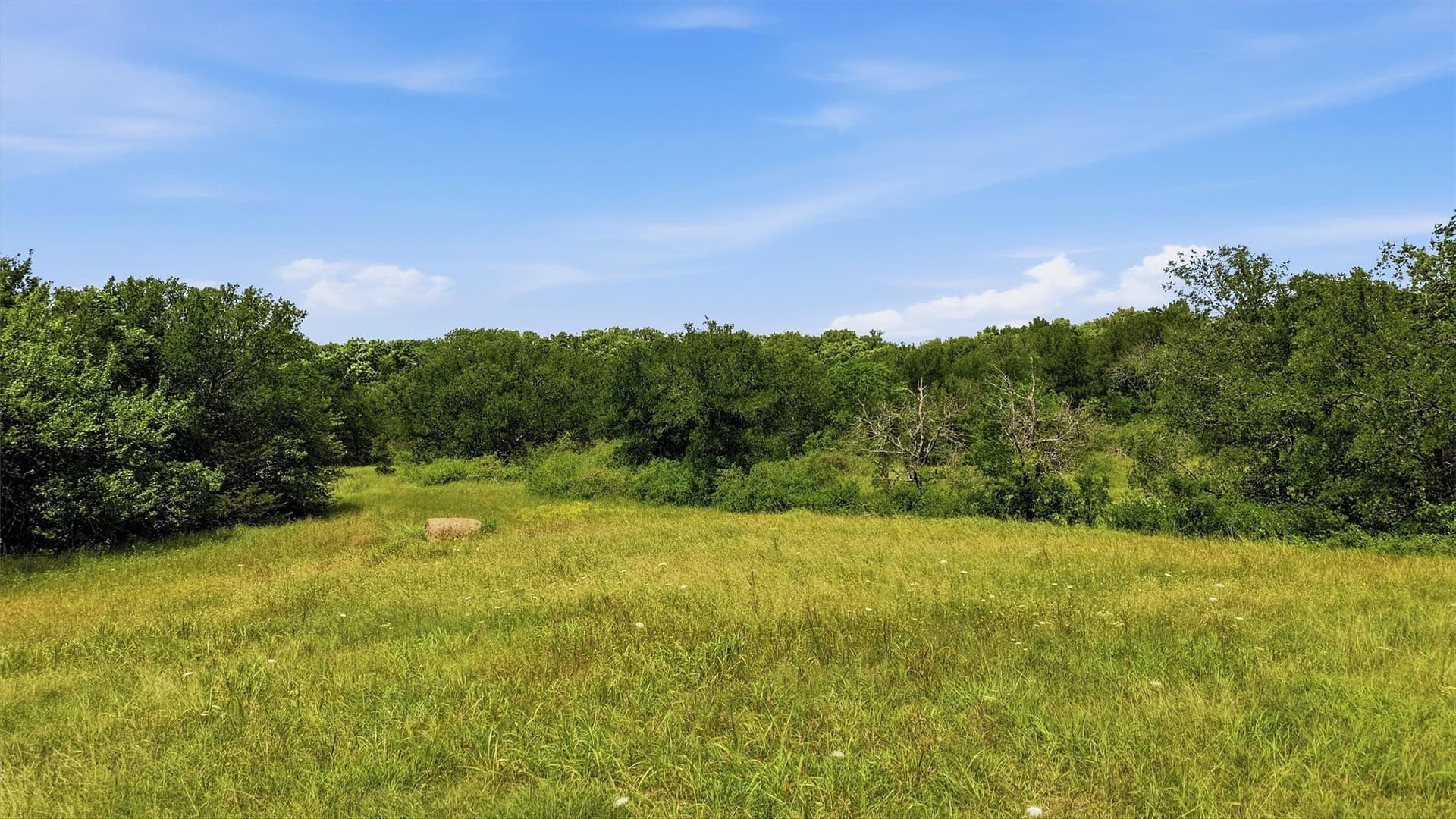 3.27 acres in Grayson County - photo 19