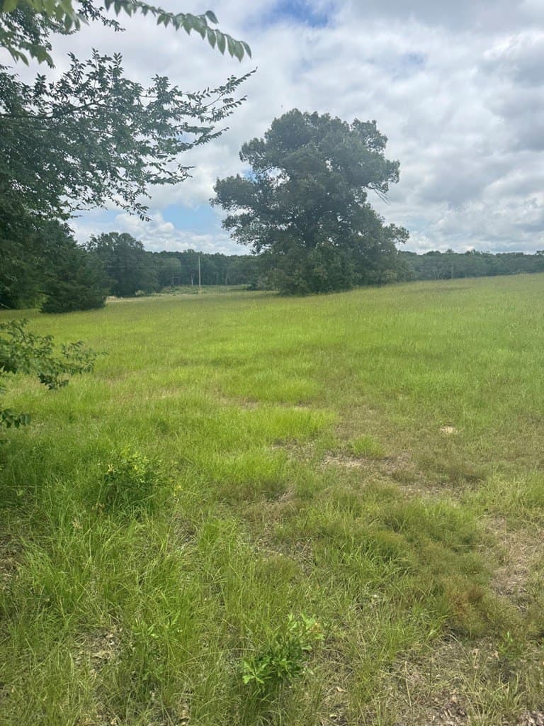 15.03 acres in Henderson County featured view
