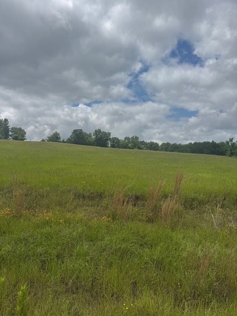 15.03 acres in Henderson County gallery image 2