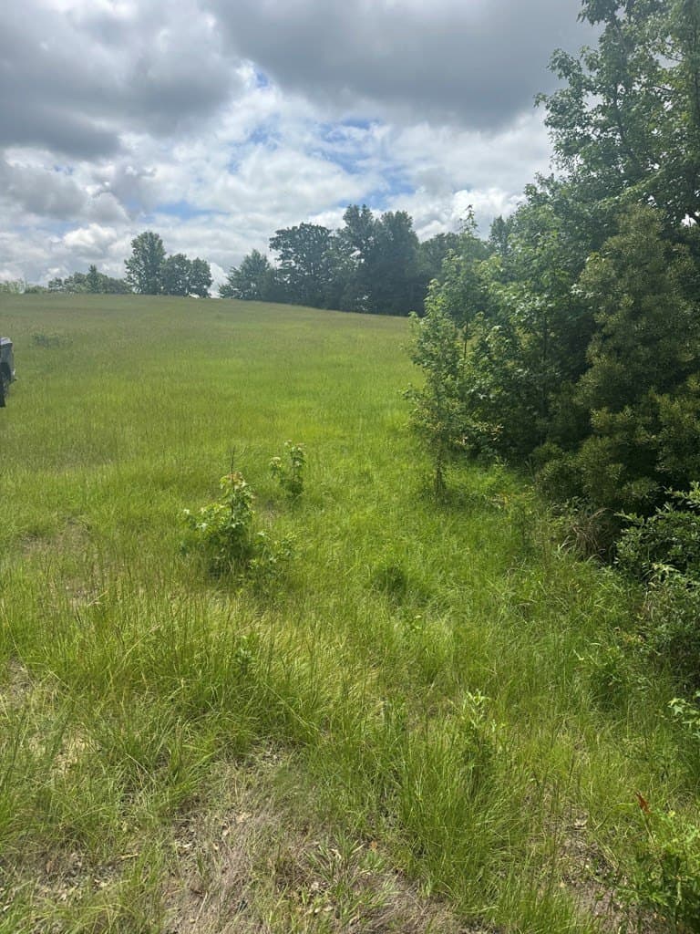 15.03 acres in Henderson County gallery image 4