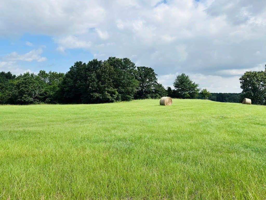 15.03 acres in Henderson County - photo 2