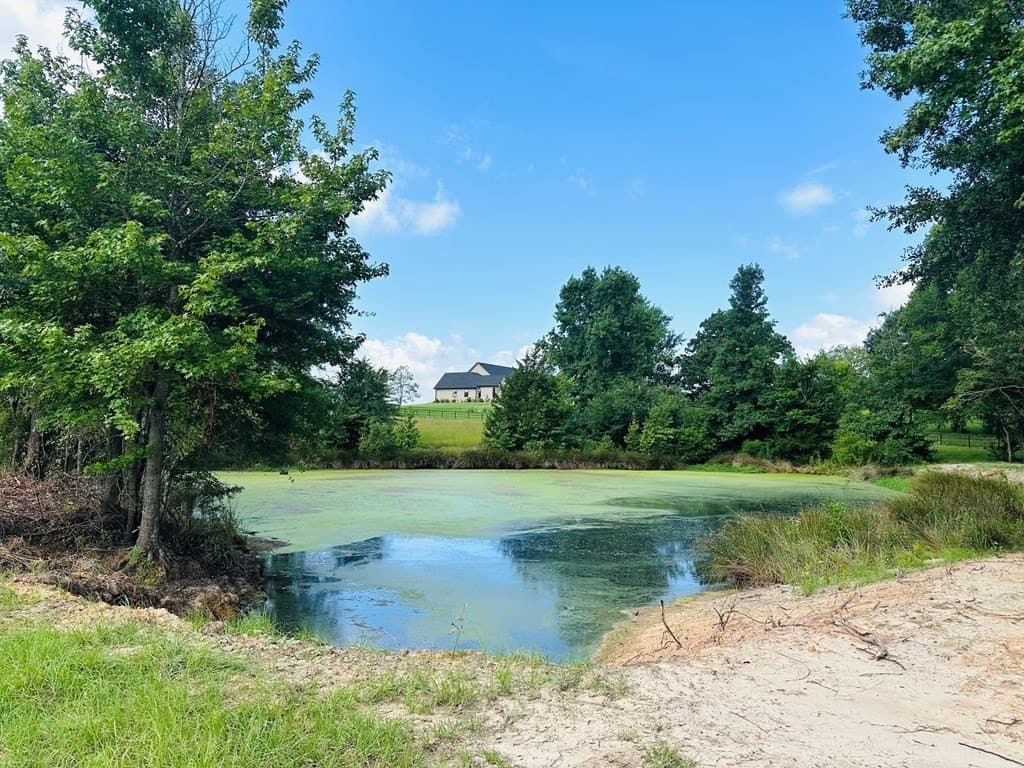 15.03 acres in Henderson County - photo 5