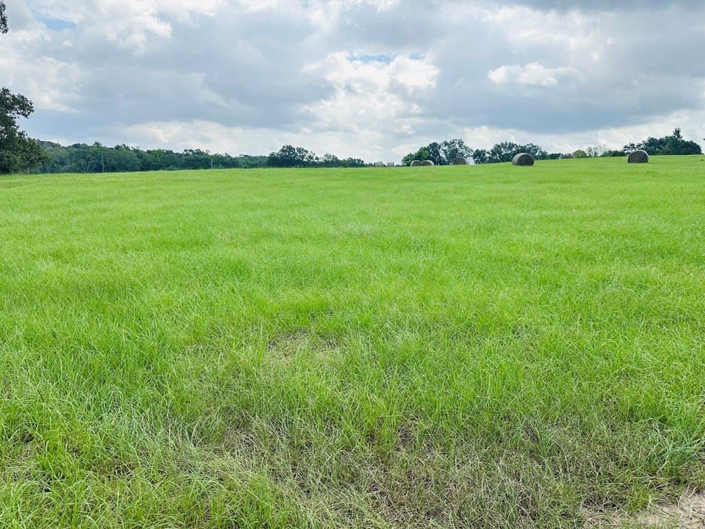 15.03 acres in Henderson County - photo 4