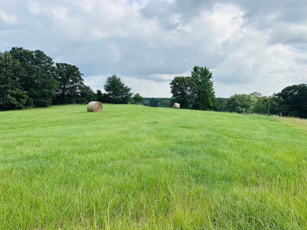 15.03 acres in Henderson County - photo 3