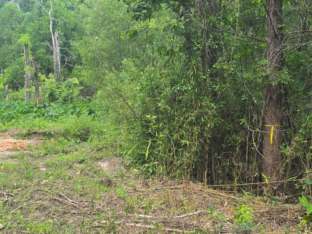 0.05 acres in Texas County - photo 13