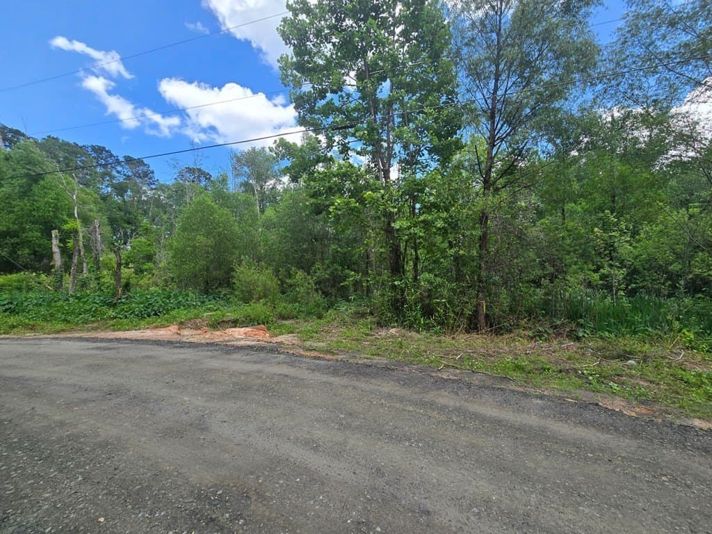 0.05 acres in Texas County - photo 10
