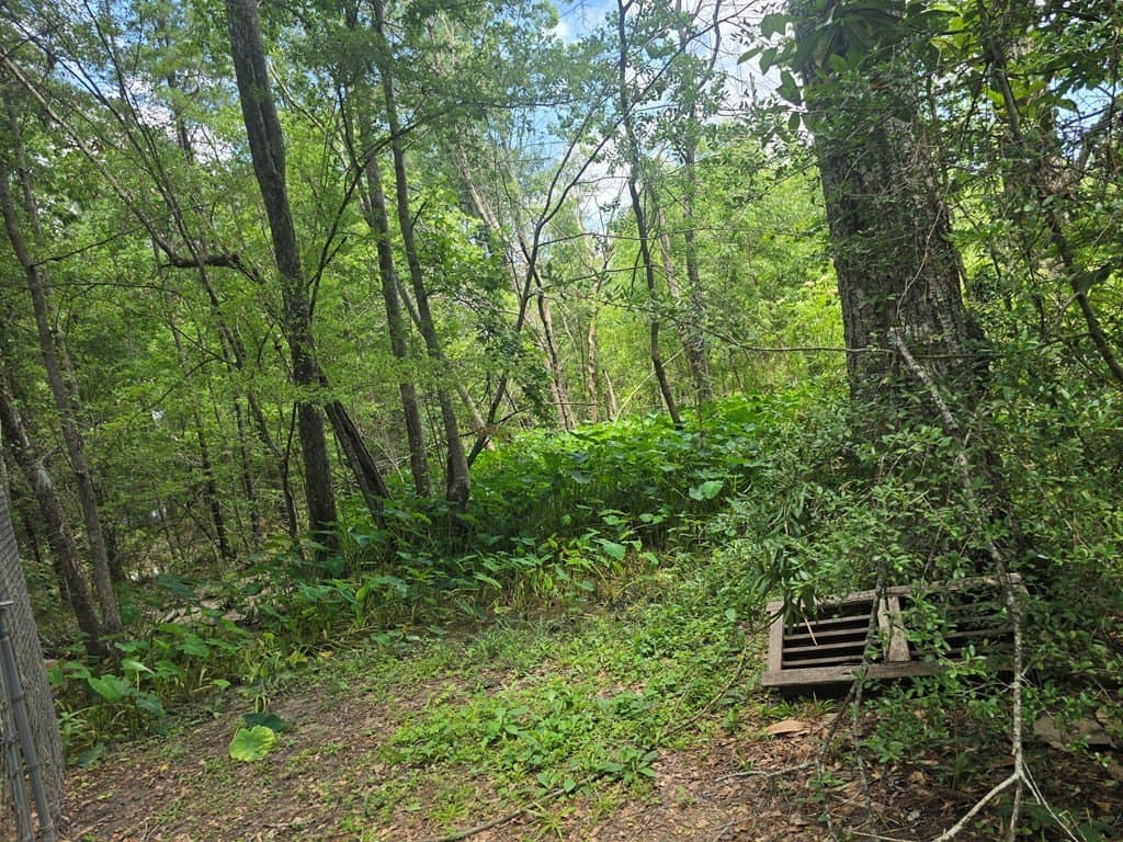 0.05 acres in Texas County gallery image 3