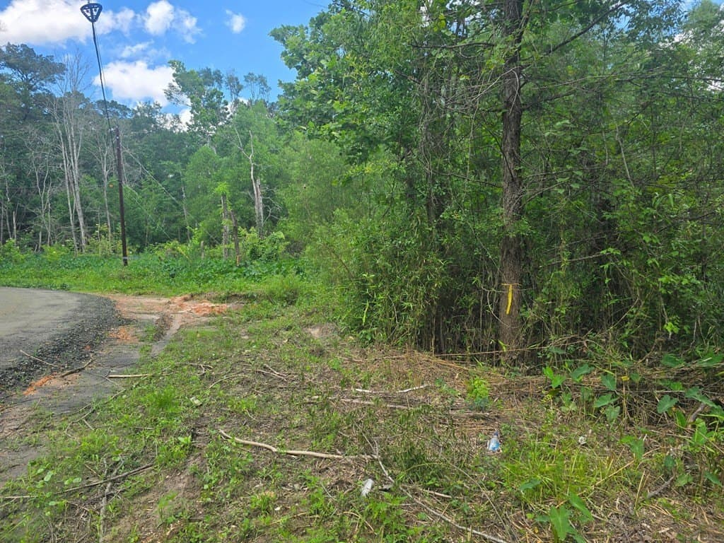 0.05 acres in Texas County - photo 14