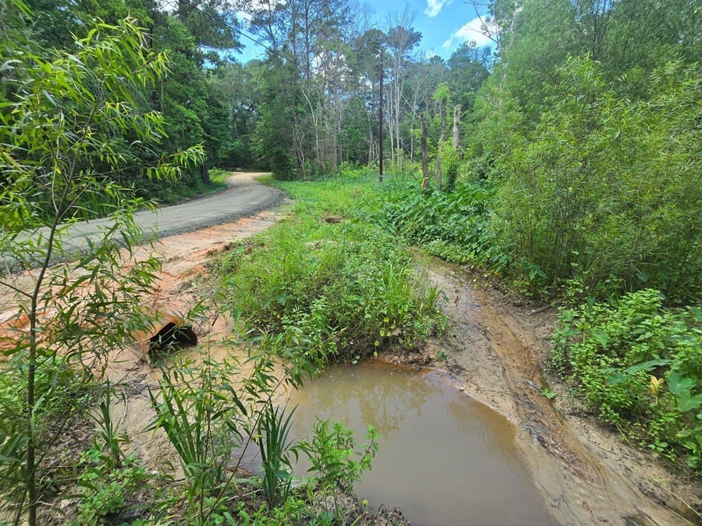 0.05 acres in Texas County - photo 7