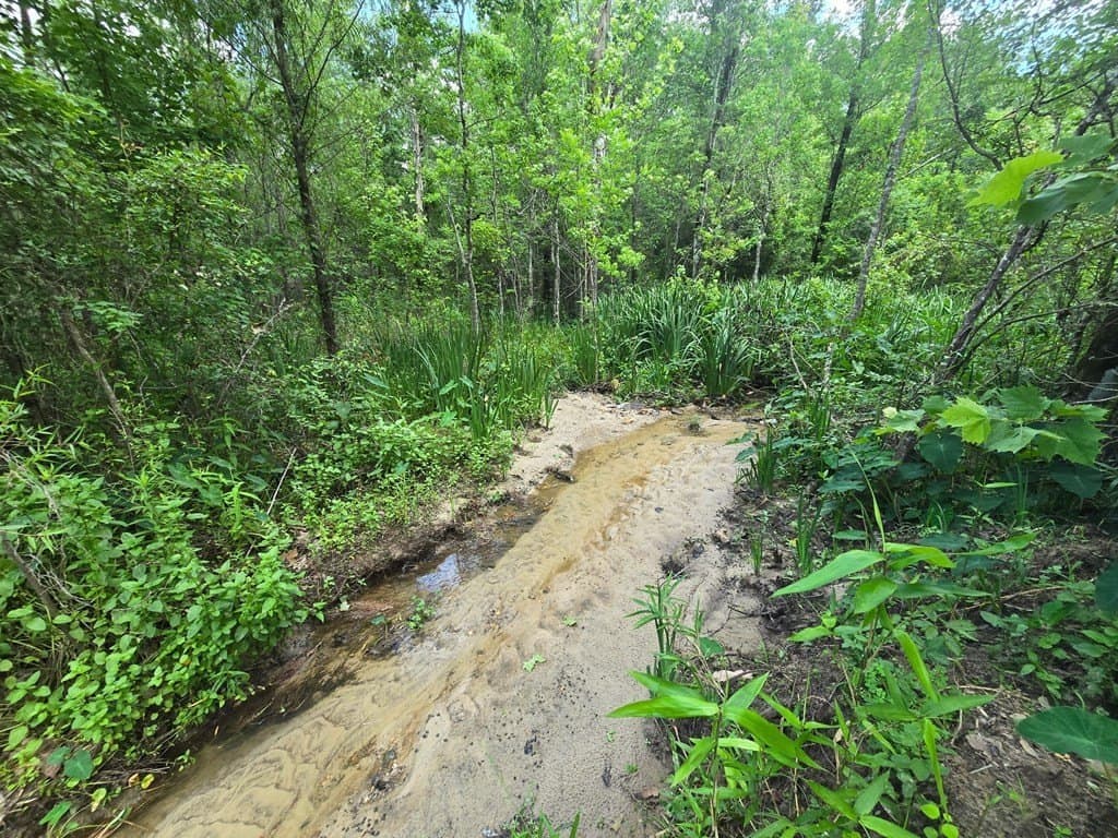 0.05 acres in Texas County - photo 6