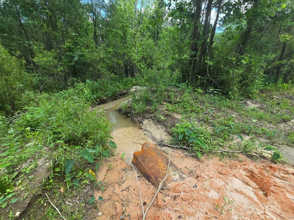 0.05 acres in Texas County - photo 8