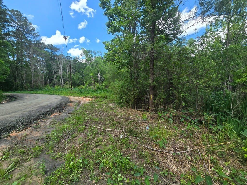 0.05 acres in Texas County - photo 11
