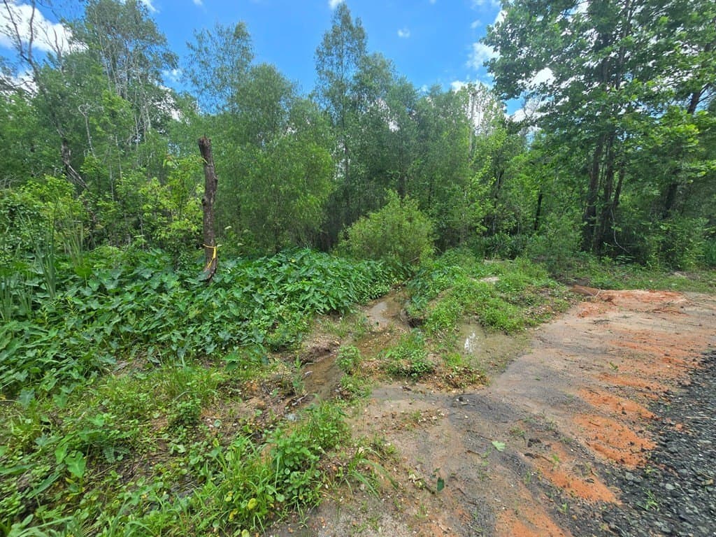 0.05 acres in Texas County - photo 9
