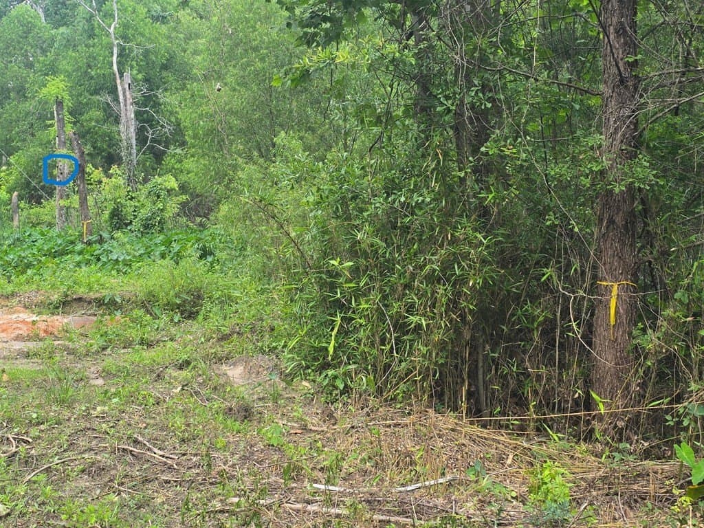 0.05 acres in Texas County - photo 12