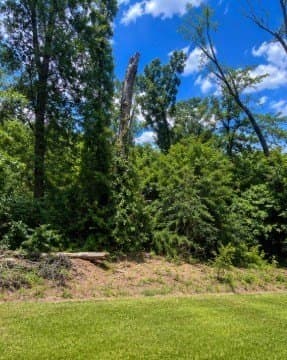 0.79 acres in Texas County gallery image 3