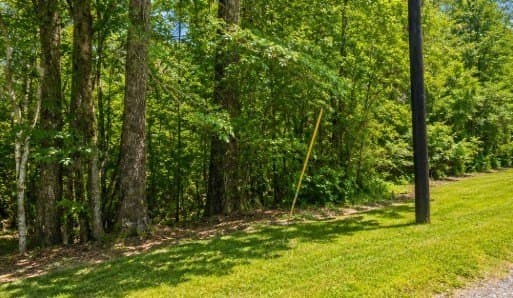 0.79 acres in Texas County - photo 6