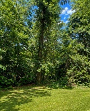 0.79 acres in Texas County gallery image 2