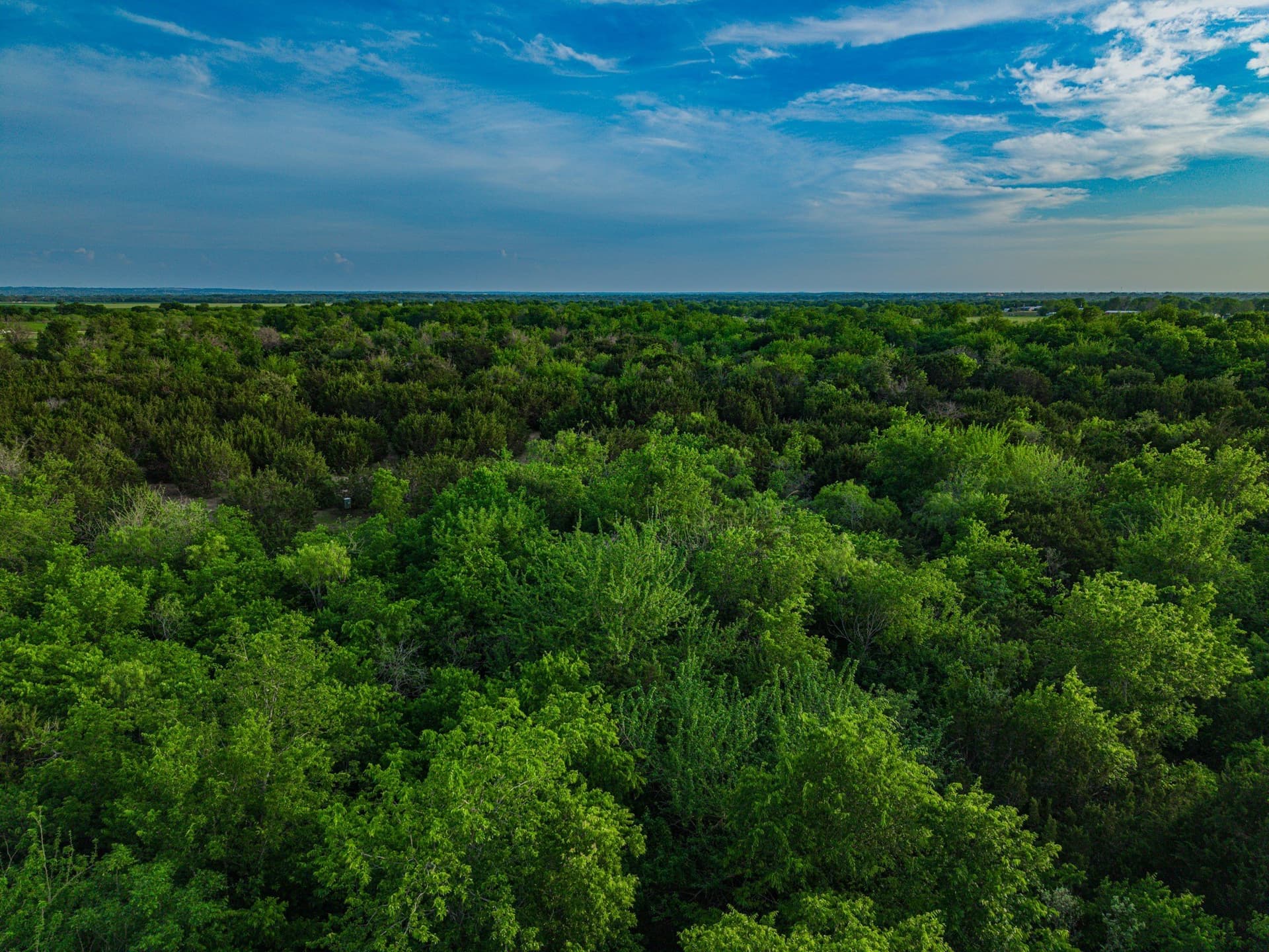 31.27 acres in McLennan County - photo 6