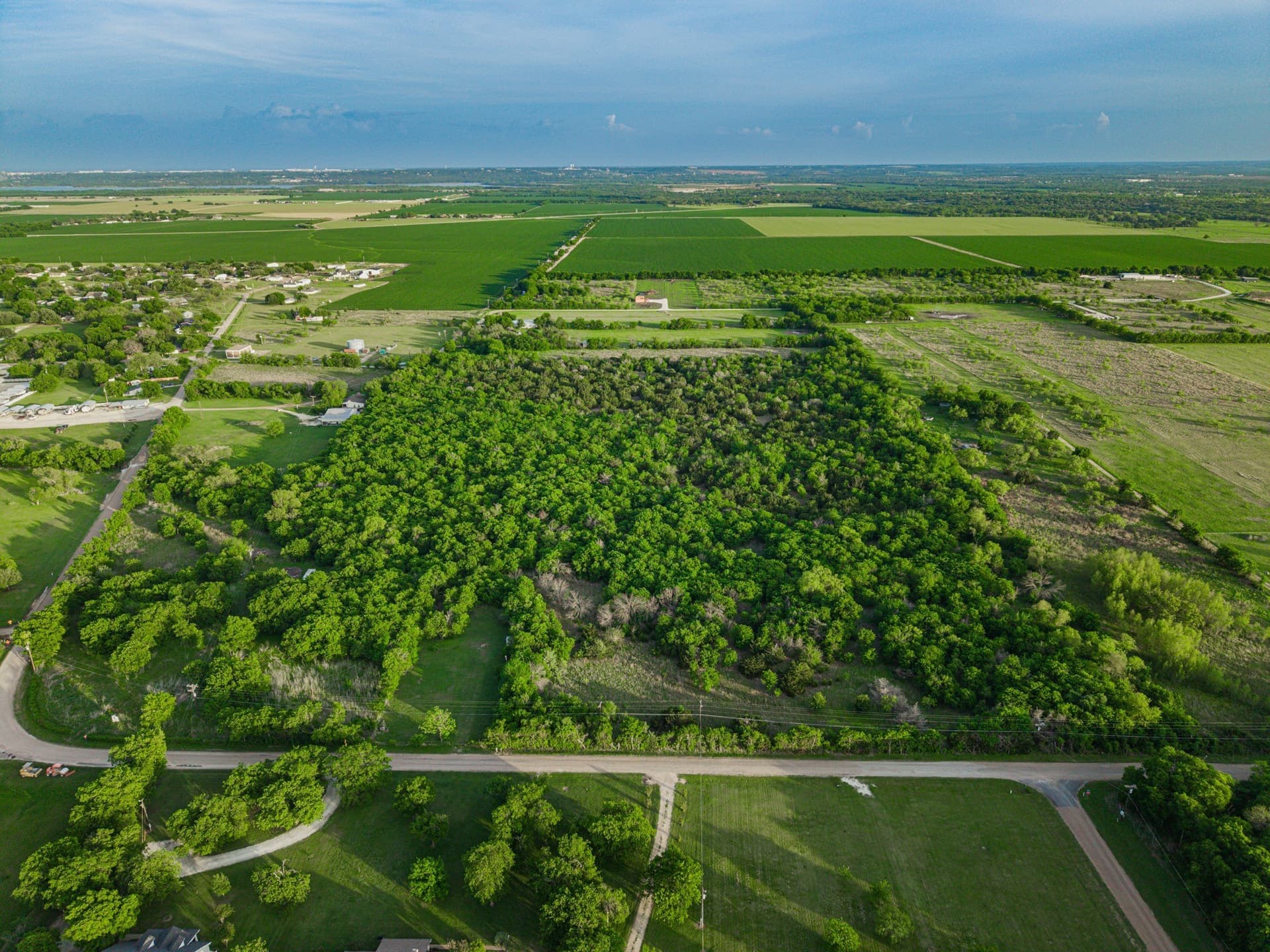 31.27 acres in McLennan County gallery image 4