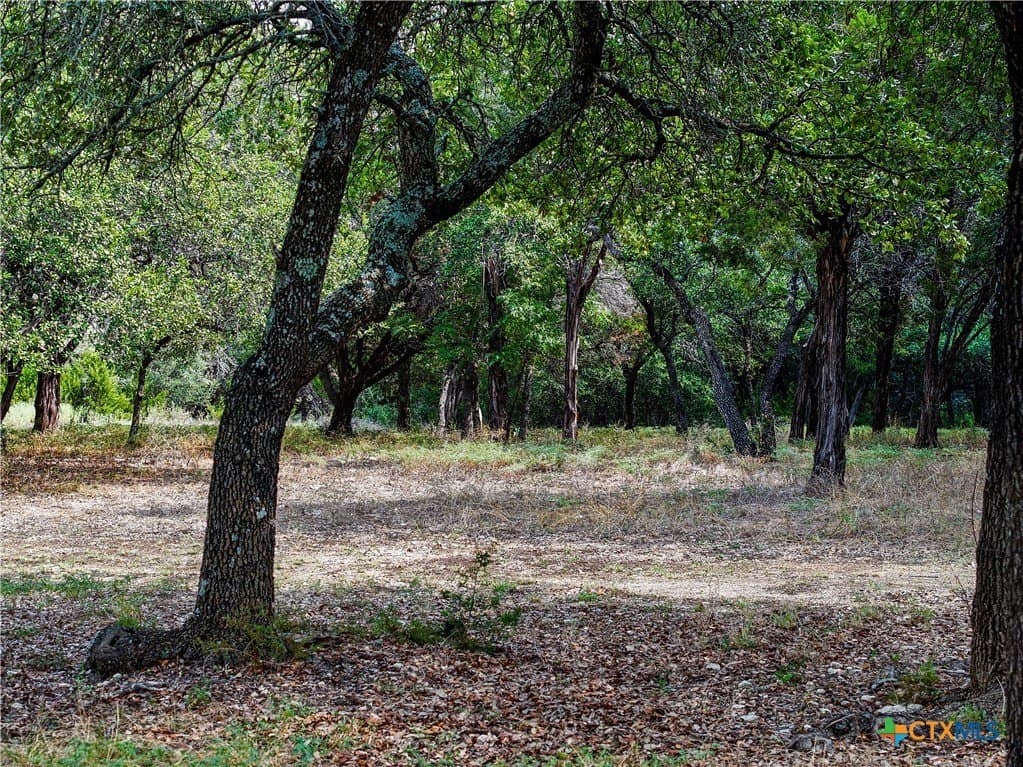 10 acres in Williamson County - photo 8