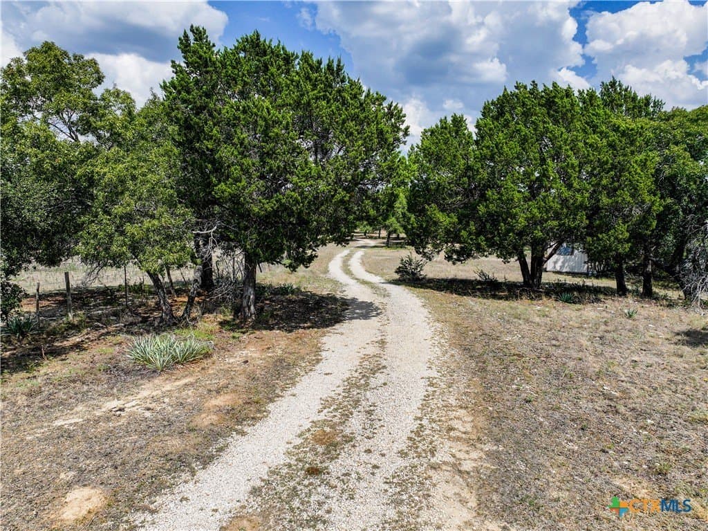 10 acres in Williamson County - photo 11