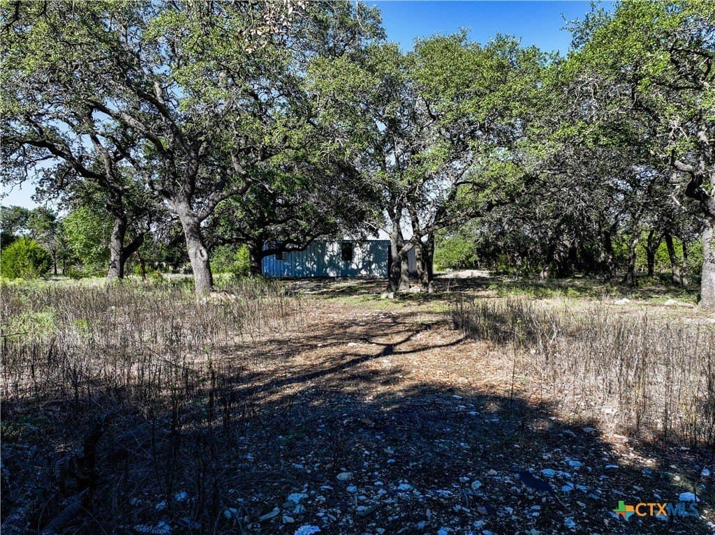 10 acres in Williamson County - photo 9