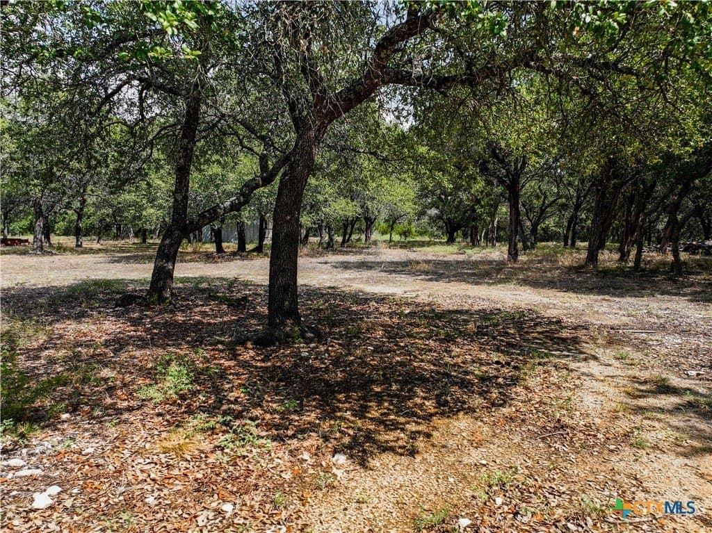 10 acres in Williamson County - photo 12