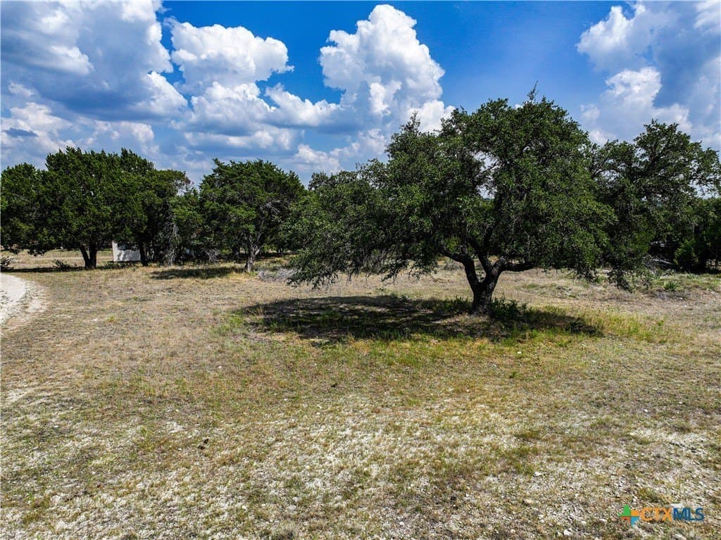 10 acres in Williamson County - photo 10
