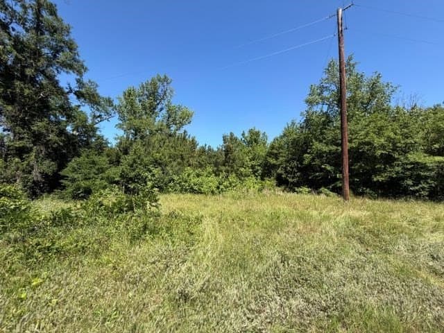5.3 acres in Texas County gallery image 2