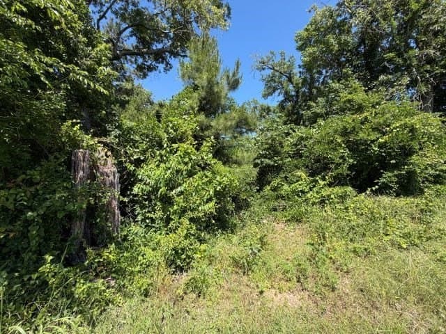 5.3 acres in Texas County gallery image 4