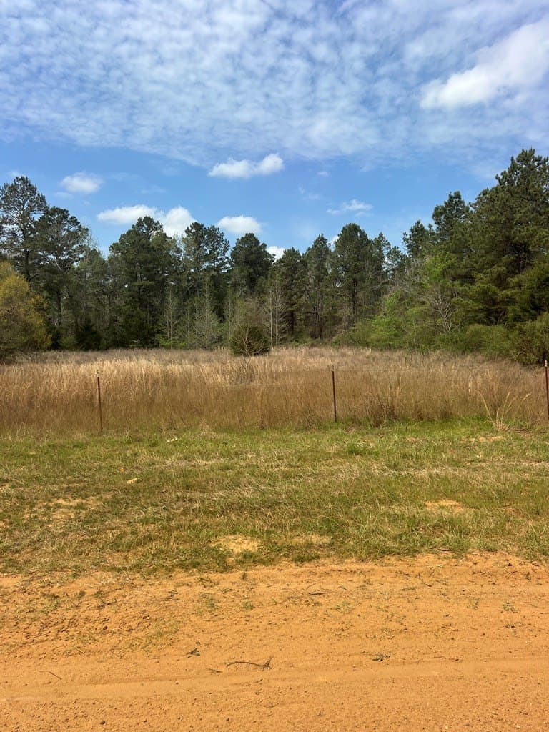 147.5 acres in Anderson County gallery image 3
