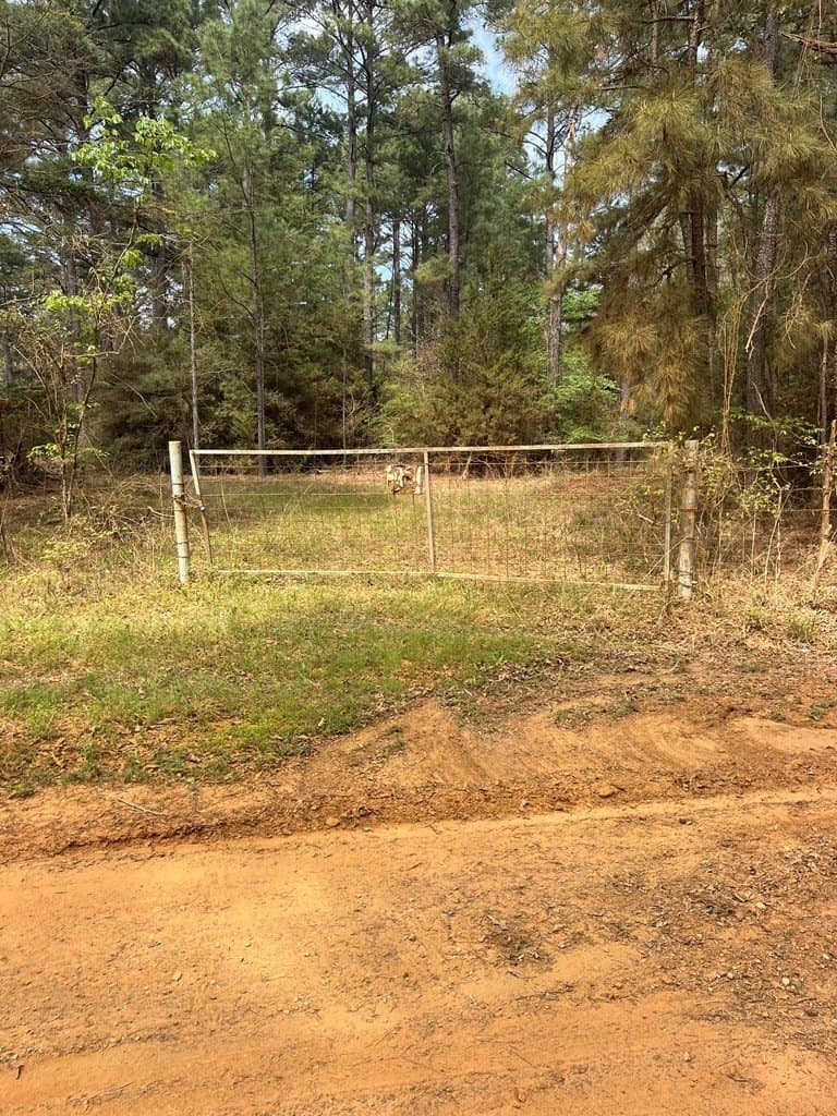 147.5 acres in Anderson County gallery image 2