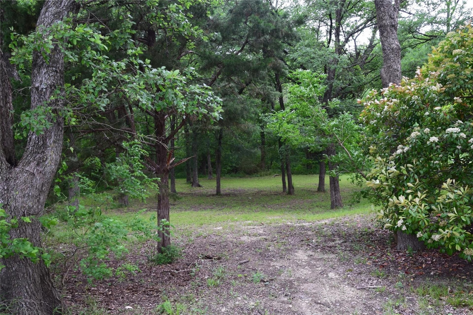 2.01 acres in Collin County - photo 5