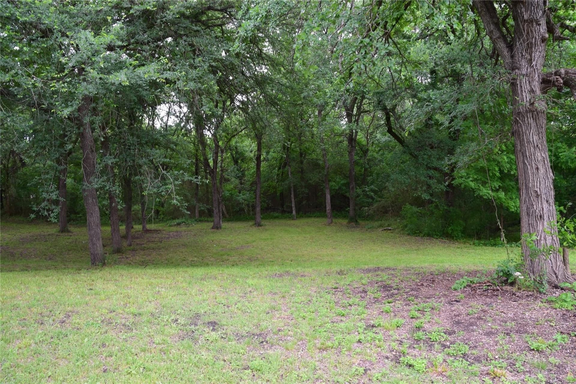 2.01 acres in Collin County - photo 2